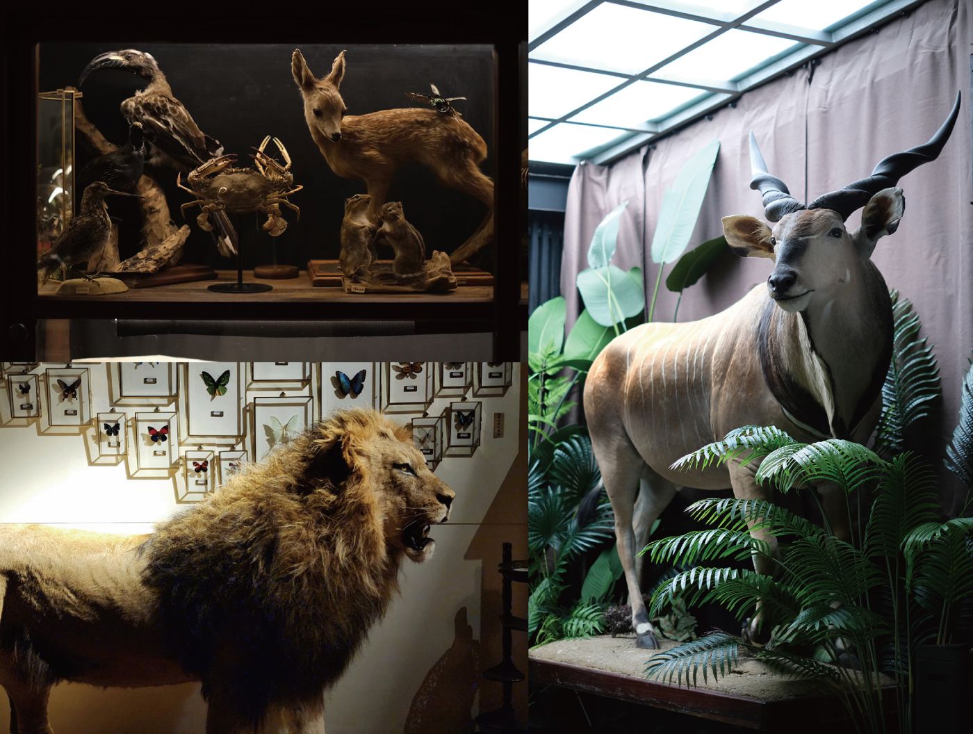 ALL_news_26C23_6rTdzbZ2Bk